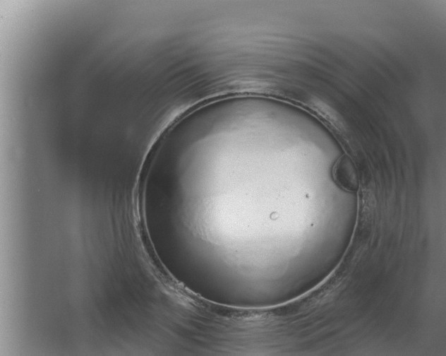 X0000064050891200602031620