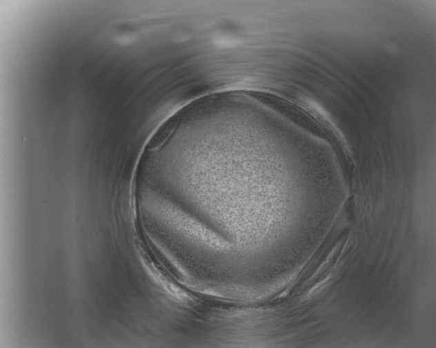 X0000064050892200602031620