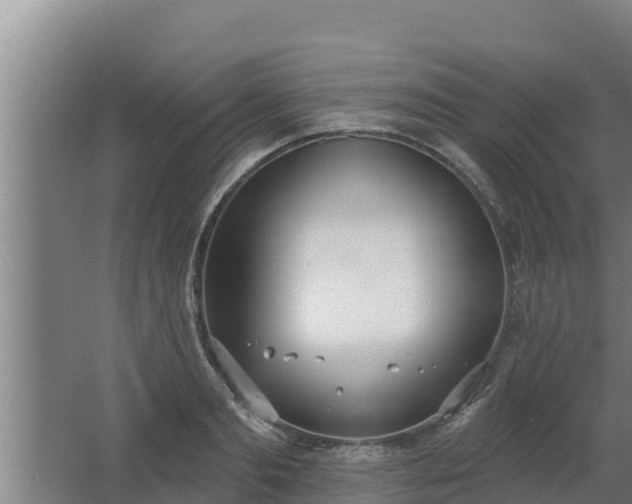 X0000064050893200602031620