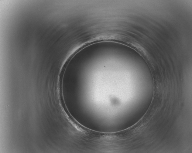 X0000064050894200602031620