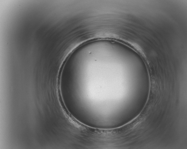 X0000064050895200602031620