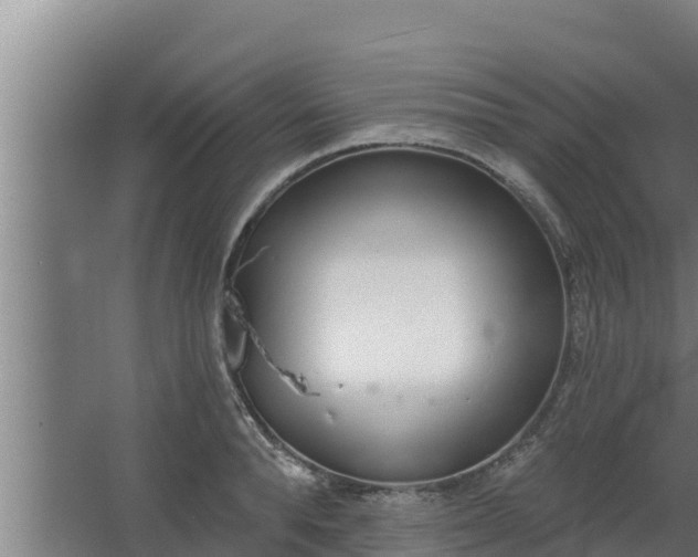 X0000064050896200602031620