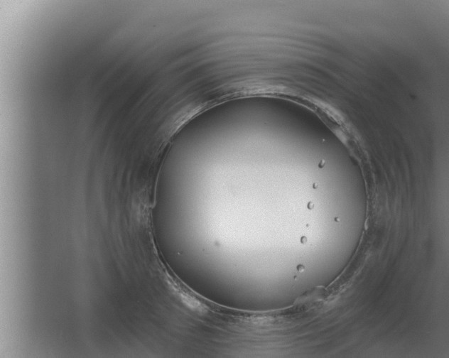 X0000064050897200602031620