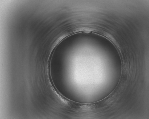 X0000064050898200602031620