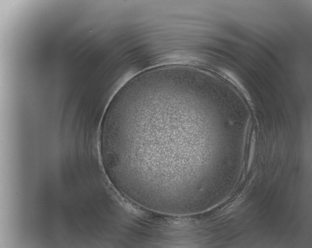 X0000064050899200602031620