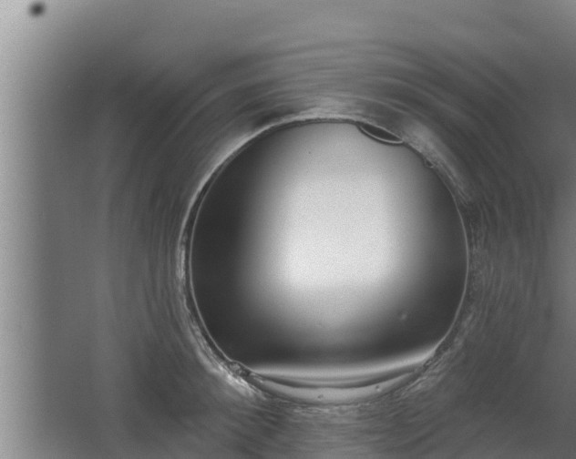 X0000064050900200602031620