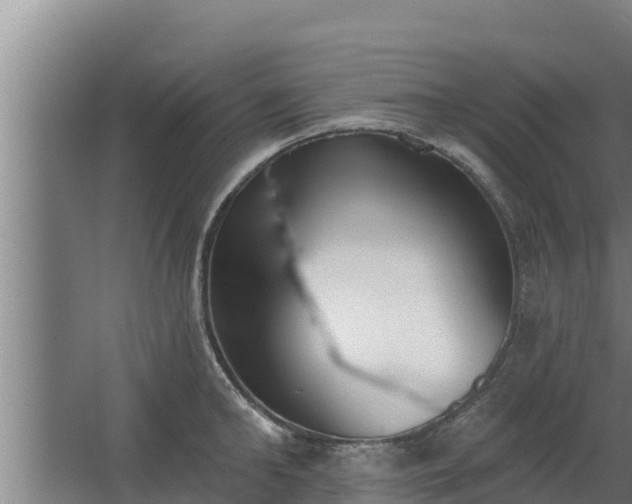 X0000064050902200602031620