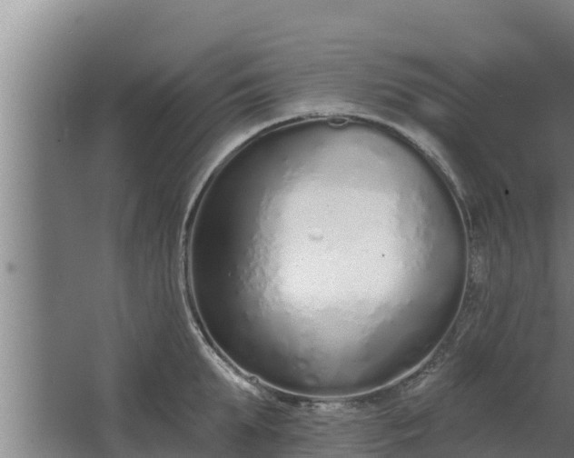 X0000064050903200602031620