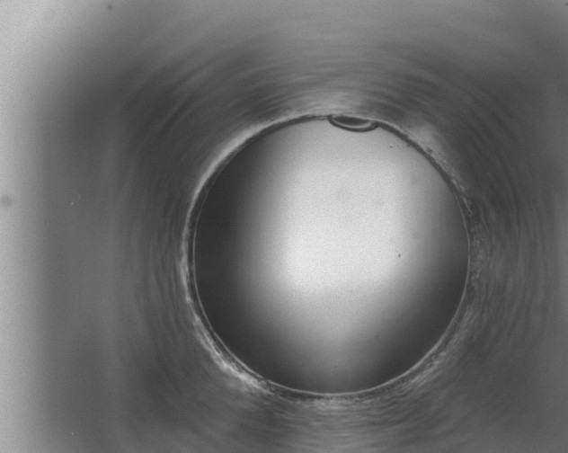 X0000064050904200602031620