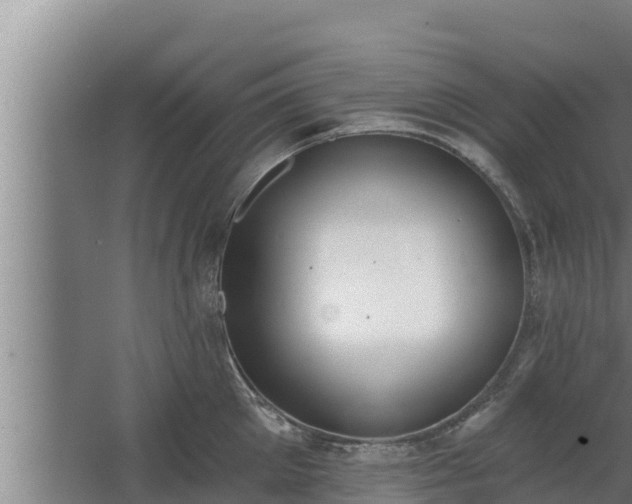 X0000064050905200602031620