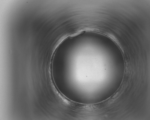 X0000064050906200602031620