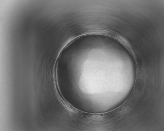 X0000064050907200602031620