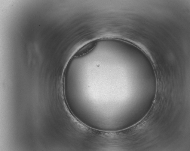 X0000064050911200602031620