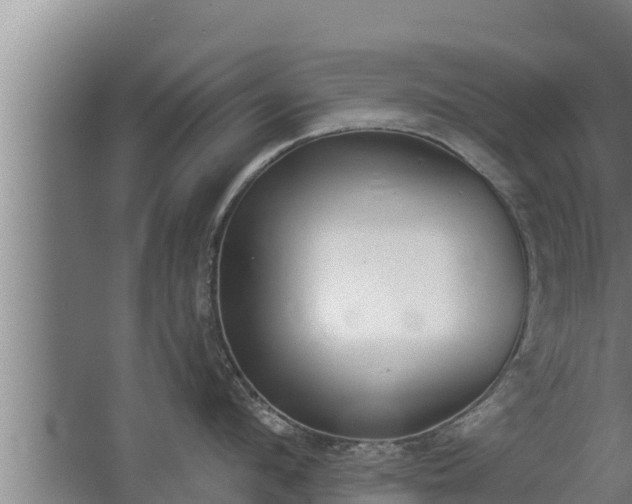 X0000064050912200602031620