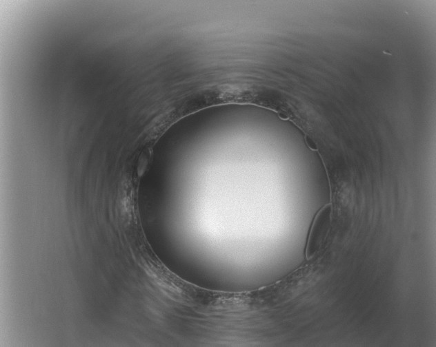 X0000064050914200602031619