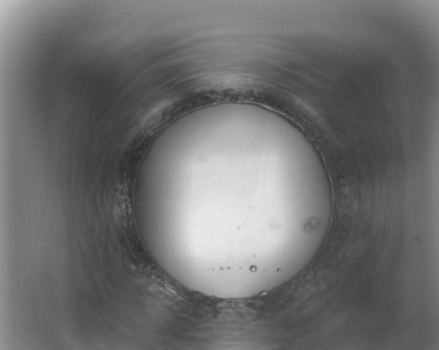 X0000064050918200602031619