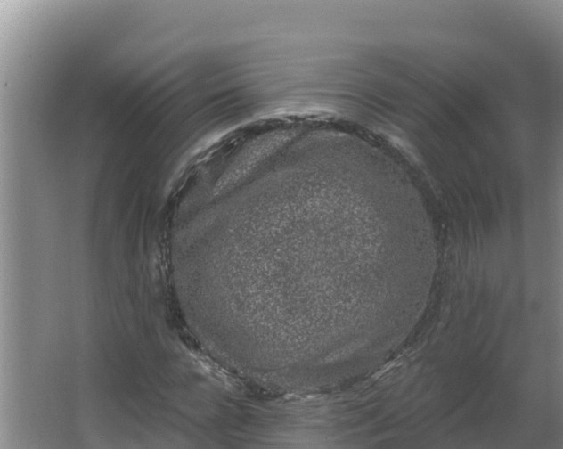 X0000064050920200602031619