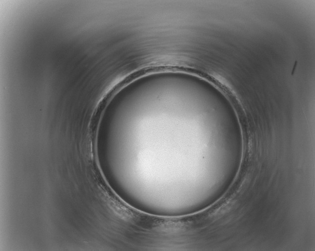 X0000064050925200602031619