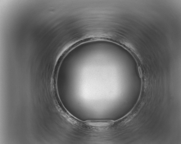 X0000064050928200602031619