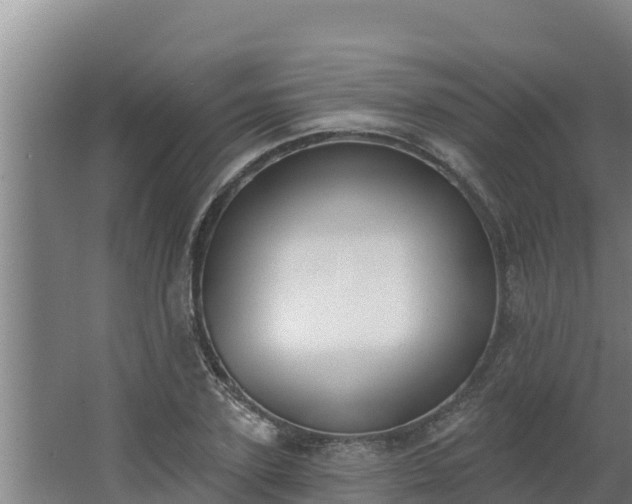 X0000064050931200602031619