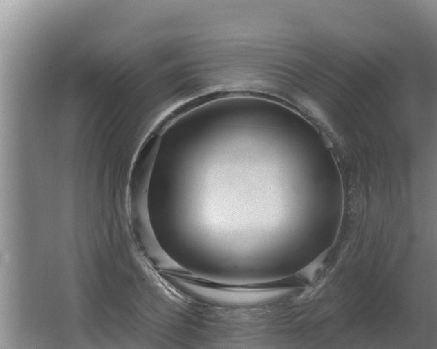 X0000064050932200602031619