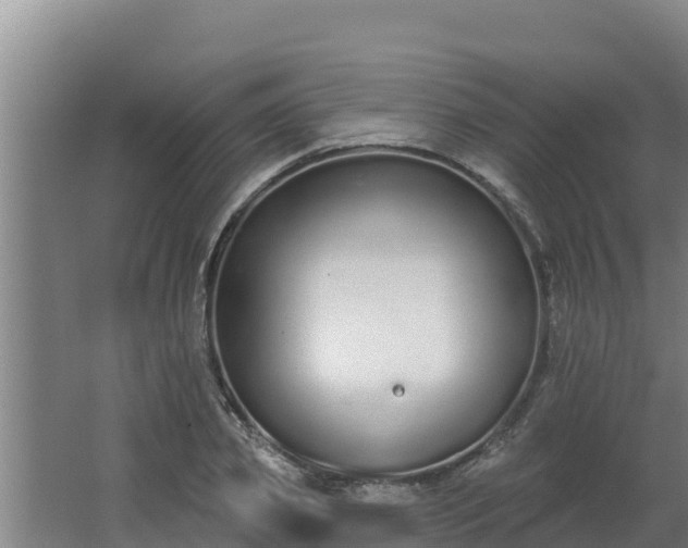 X0000064050933200602031619