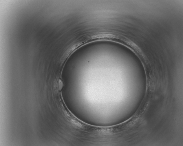 X0000064050937200602031620