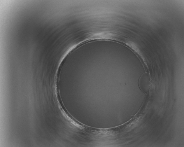 X0000064050941200602031620