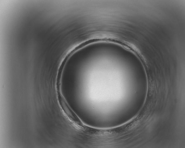 X0000064050943200602031620