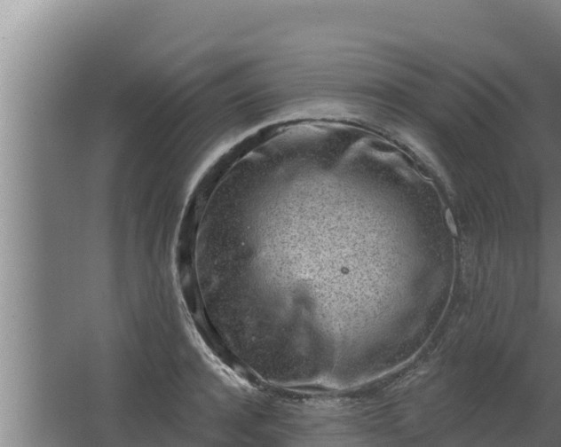 X0000064050944200602031620