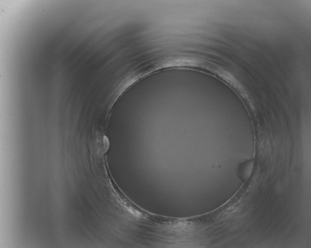 X0000064050945200602031620