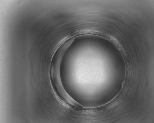 X0000064050946200602031620