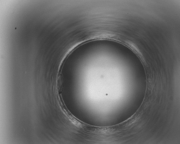 X0000064050948200602031620