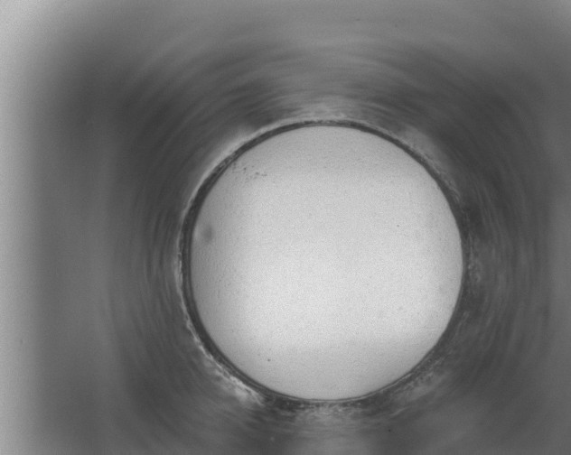 X0000064050950200602031620