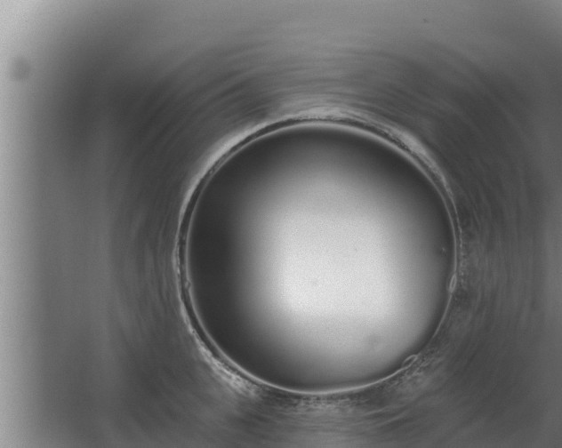 X0000064050951200602031620