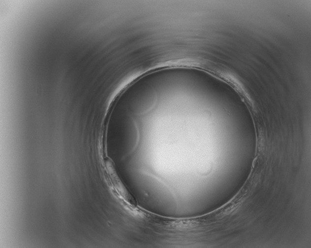 X0000064050952200602031620