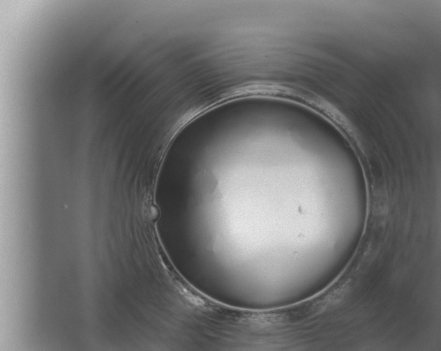 X0000064050953200602031620