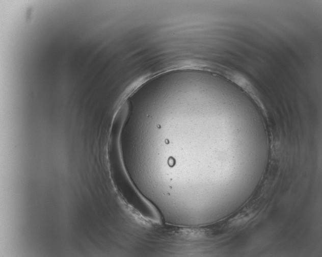 X0000064050954200602031620