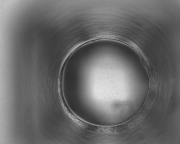 X0000064050955200602031620