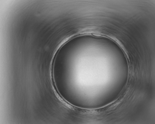 X0000064050957200602031620