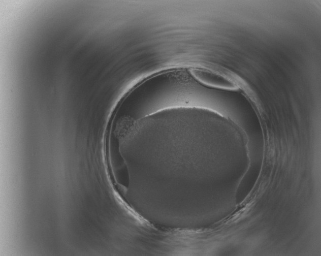 X0000064050958200602031620