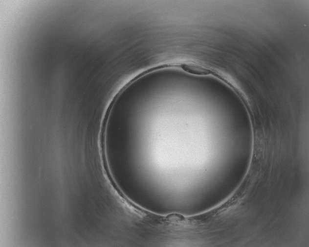 X0000064050959200602031620