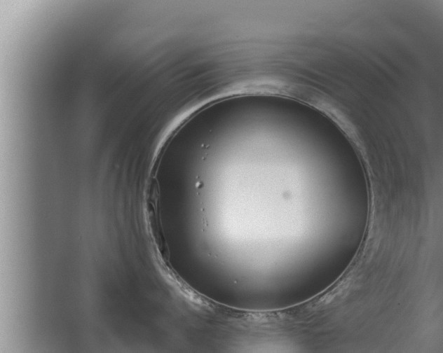 X0000064050960200602031620