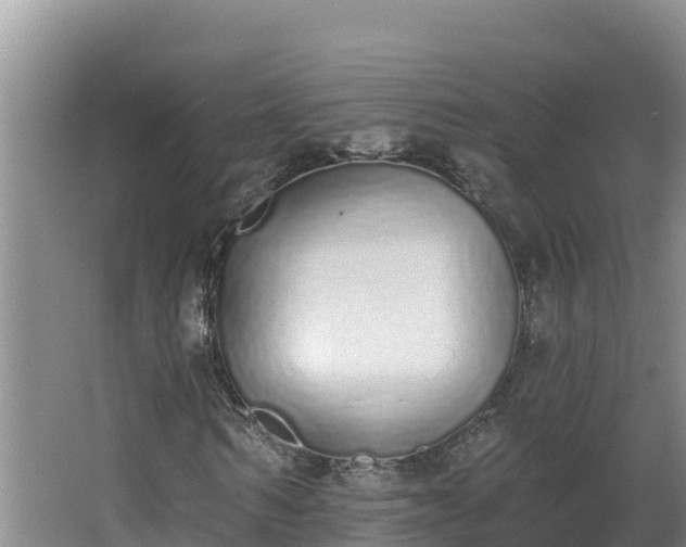 X0000064050962200602031619