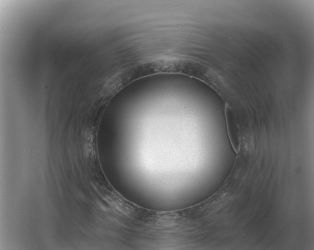 X0000064050964200602031619