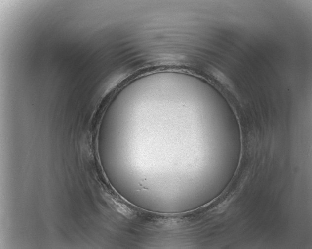 X0000064050970200602031619