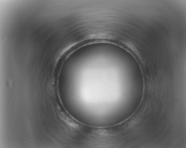 X0000064050971200602031619