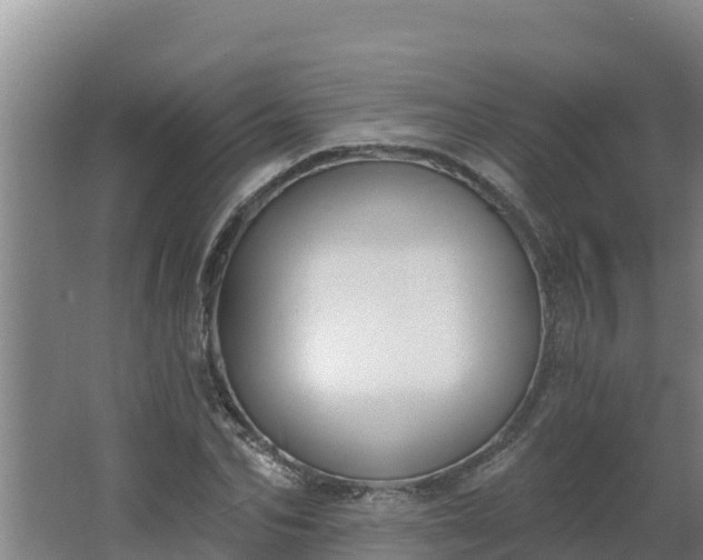 X0000064050974200602031619