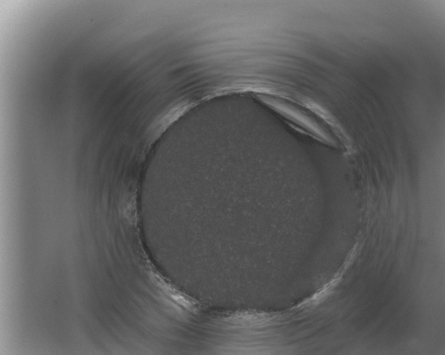 X0000064050977200602031619