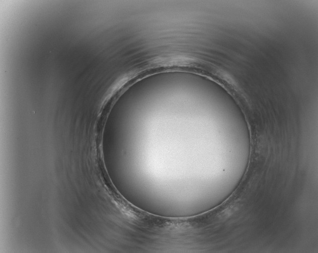 X0000064050978200602031619